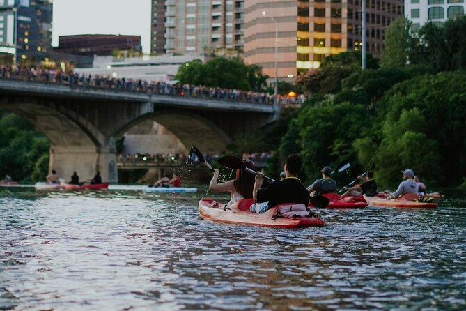 Kayak or Paddle Board Sunset Bat Tour - Watching the Bats from the Water