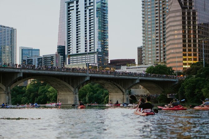 Kayak or Paddle Board Sunset Bat Tour - Who Will Enjoy This Sunset Paddle