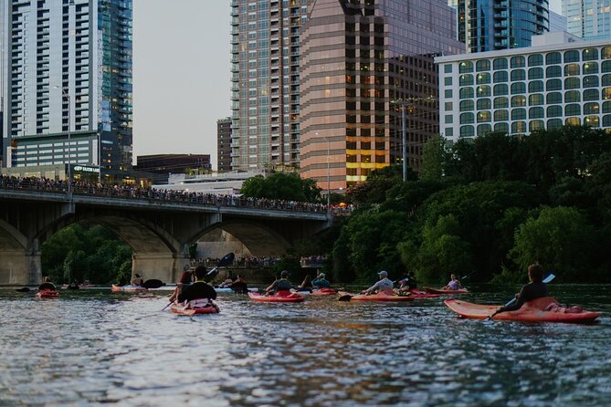 Kayak or Paddle Board Sunset Bat Tour - Booking Details That Matter