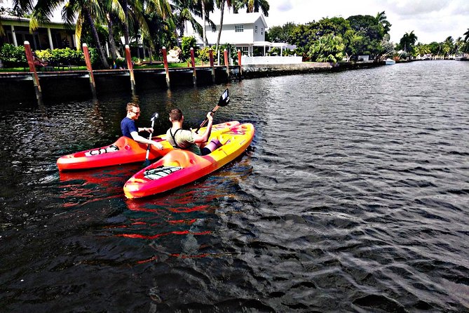Kayak Rental: Explore Mangroves and Self-Navigated River Eco Paddle - What One Hour on the Water Feels Like