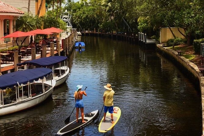 Kayak Rental: Explore Mangroves and Self-Navigated River Eco Paddle - Families, Couples, and First-Time Paddlers