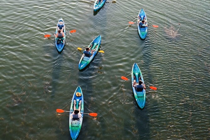 Kayak Rentals on Lady Bird Lake - Continuing toward Barton Springs
