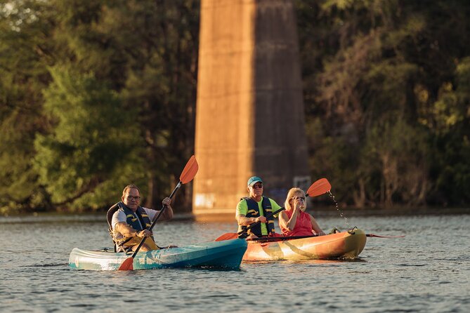 Kayak Rentals on Lady Bird Lake - Wildlife, trees, and a break from the pavement