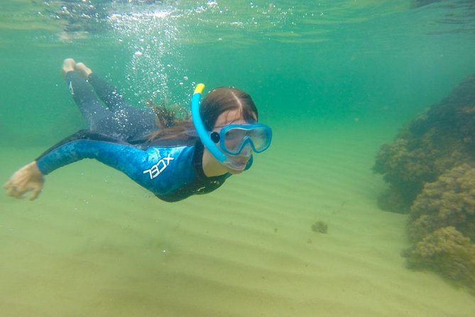 Kayak Route + Snorkel in Cantabria - Paddling across Trengandín’s calm water