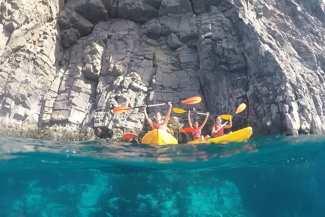 Kayak Safari with Dolphin and Turtle Watching in Guaza - Is $45.97 good value?