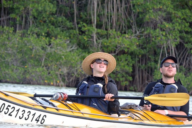 Kayak Sian Ka’an Biosphere Reserve Sunset Tour - Bird islands, mangrove mazes, and quiet observation