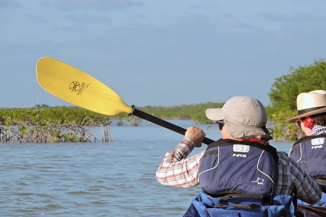 Kayak Sian Ka’an Biosphere Reserve Sunset Tour - What the $150 price really covers
