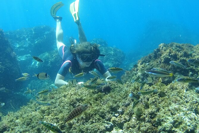 Kayak & Snorkel Tour in Cerro Gordo Natural Park, La Herradura - Who Should Book This La Herradura Kayak Tour?