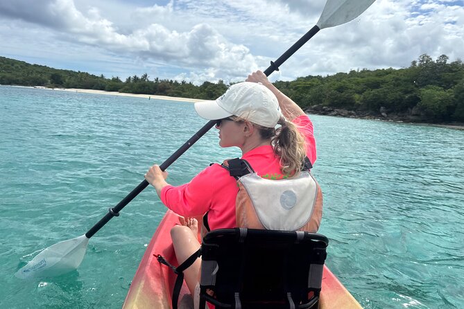 Kayak & Snorkel with Sea Turtles, National Park, St. John - What the guides add to the day