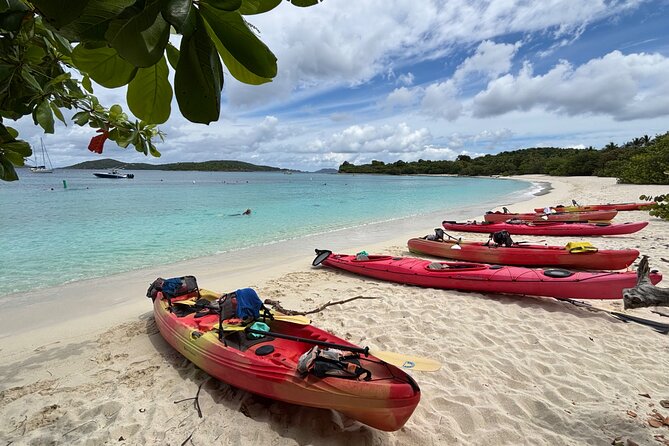 Kayak & Snorkel with Sea Turtles, National Park, St. John - Who should book this adventure