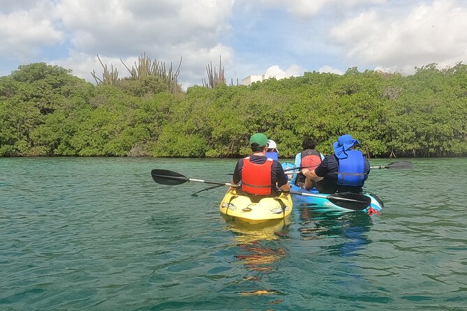 Kayak Tour at Mangel Halto and Spanish Lagoon - Why Mangel Halto is a smart starting point