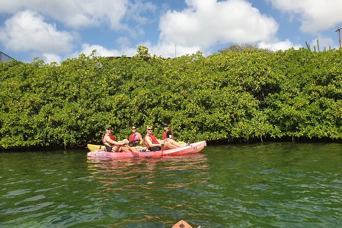 Kayak Tour at Mangel Halto and Spanish Lagoon - Spanish Lagoon brings a calmer second half