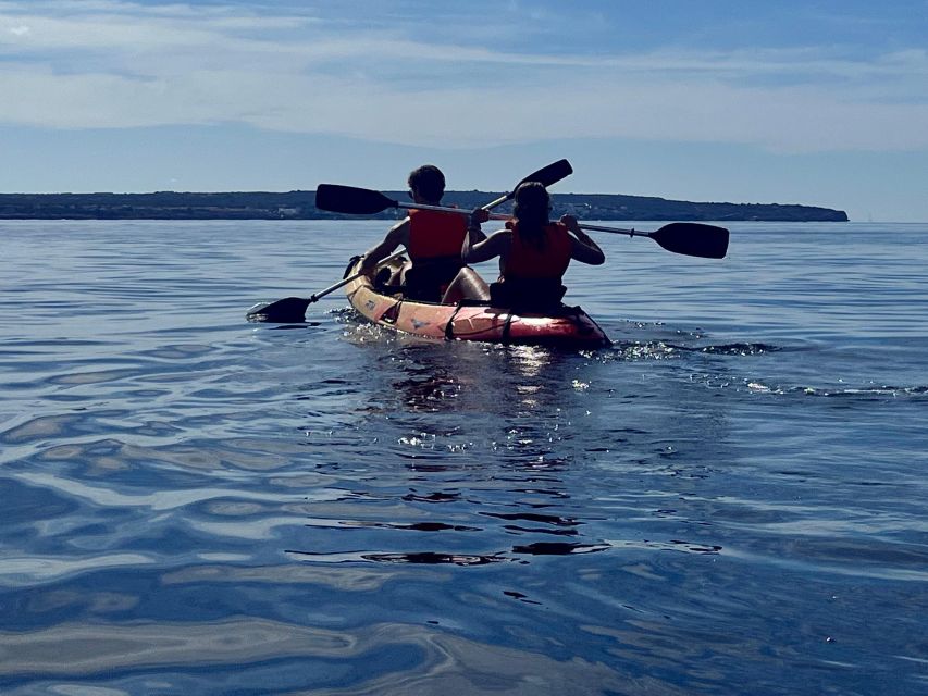 Kayak Tour Bay of Palma - Should you book the Bay of Palma kayak tour?