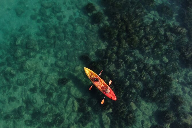 Kayak Tour: From Cala Manbrù to Torre Salsa Reserve - Key points to know before booking
