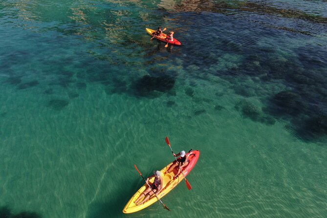 Kayak Tour: From Cala Manbrù to Torre Salsa Reserve - What the $45.65 price includes