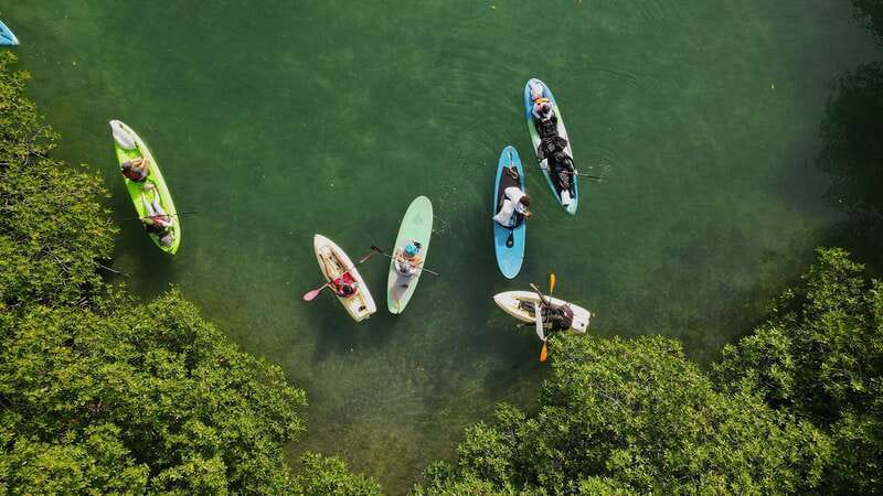 Kayak Tour in Cancun with Photos included - Why Nichupté Lagoon is the right setting