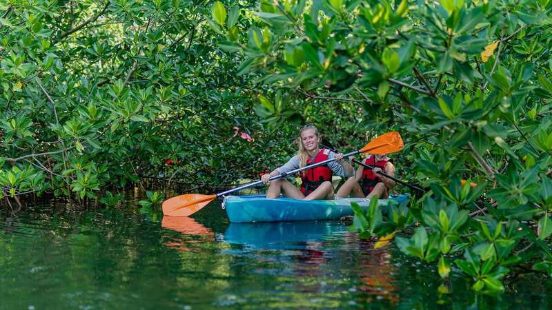 Kayak Tour in Cancun with Photos included - Birds, fish, and the chance of a crocodile