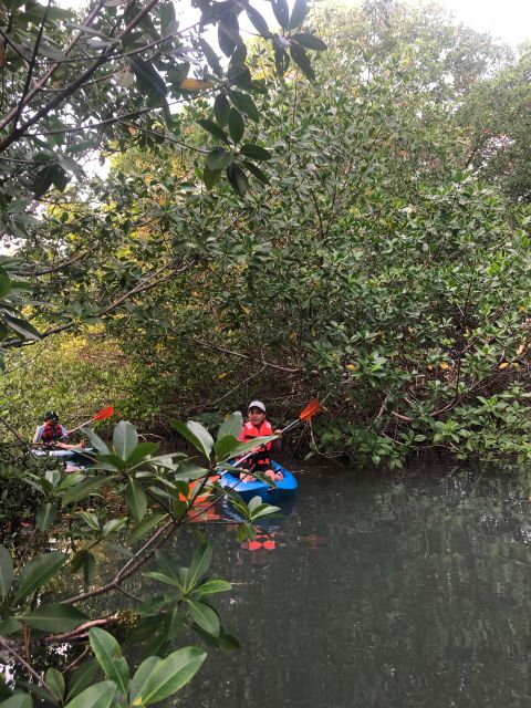 Kayak Tour in Cancun with Photos included - The photo stop and sunset payoff