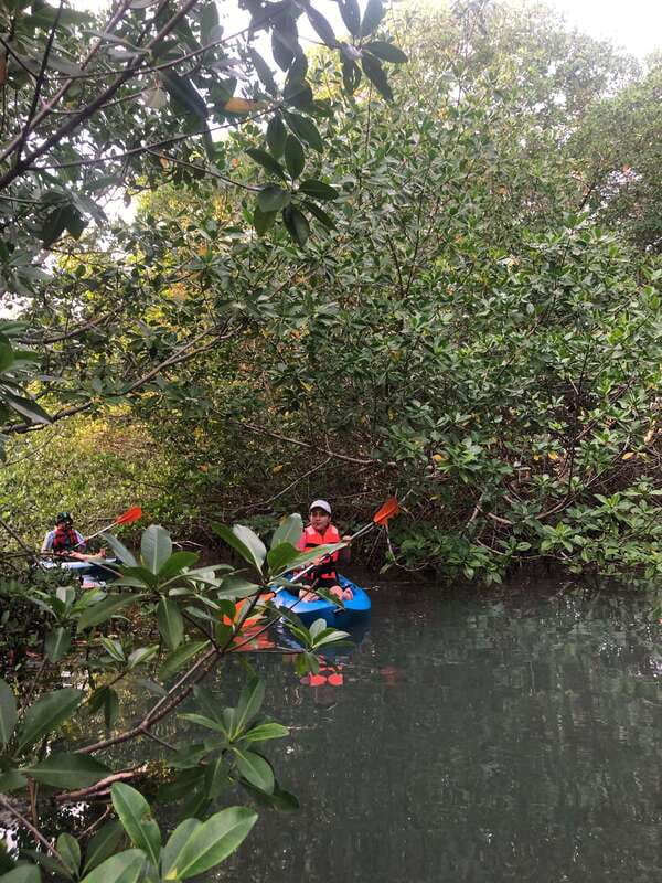 Kayak Tour in Cancun with Photos included - Who will enjoy this most