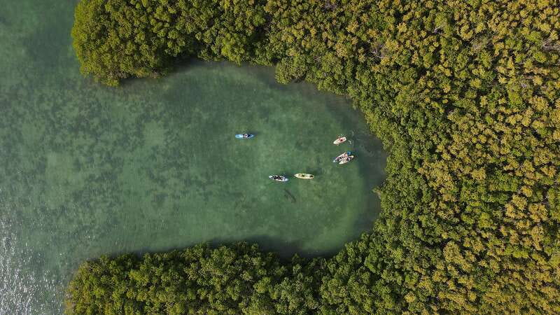 Kayak Tour in Cancun with Photos included - Two hours through calm mangrove water