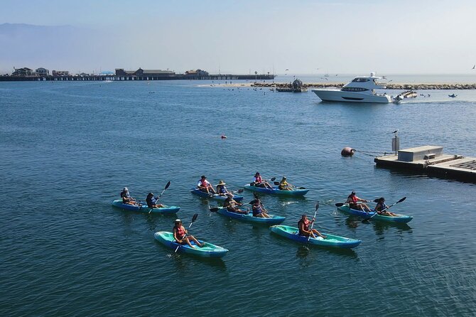 Kayak Tour of Santa Barbara with Experienced Guide - Why Santa Barbara is best seen from a kayak