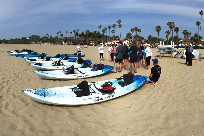 Kayak Tour of Santa Barbara with Experienced Guide - Santa Barbara Waterfront: boats, wildlife, and local stories