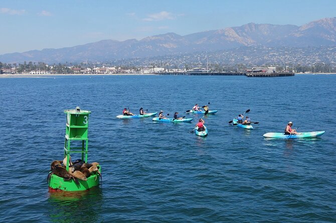 Kayak Tour of Santa Barbara with Experienced Guide - What the guide adds for your money