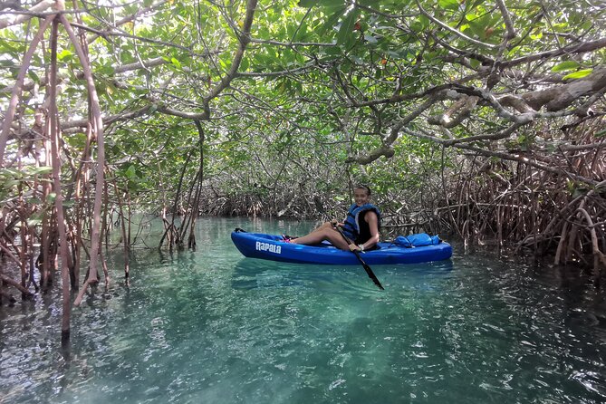 Kayak TOUR POR Laguna Nichupte Cancun - What you may see along the way