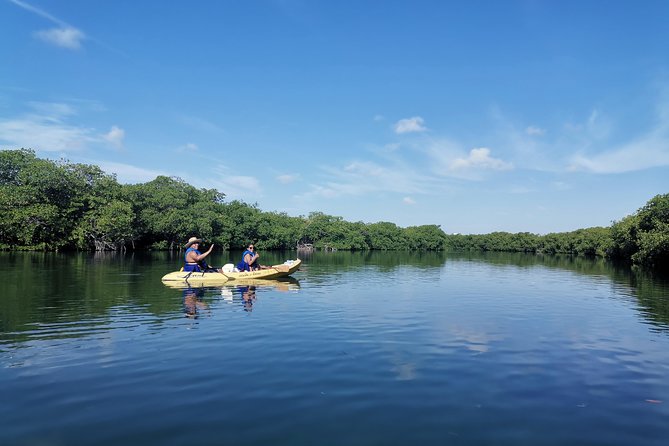 Kayak TOUR POR Laguna Nichupte Cancun - What is included for $38
