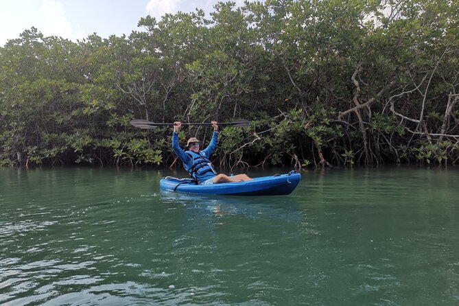 Kayak TOUR POR Laguna Nichupte Cancun - The best time to choose