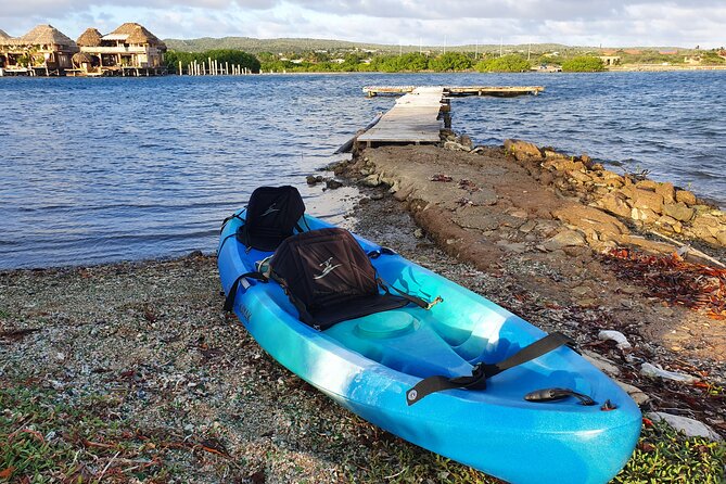 Kayak Tour to Seaglass Island - What the $80 price really covers