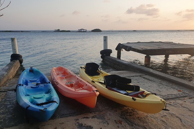 Kayak Tour to Seaglass Island - Who will enjoy this most