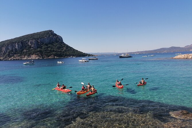Kayak tour with aperitif and dolphins - Guides, languages, and group size