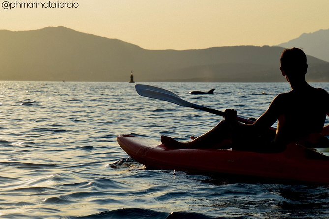 Kayak tour with aperitif and dolphins - What the $54.42 price gets you