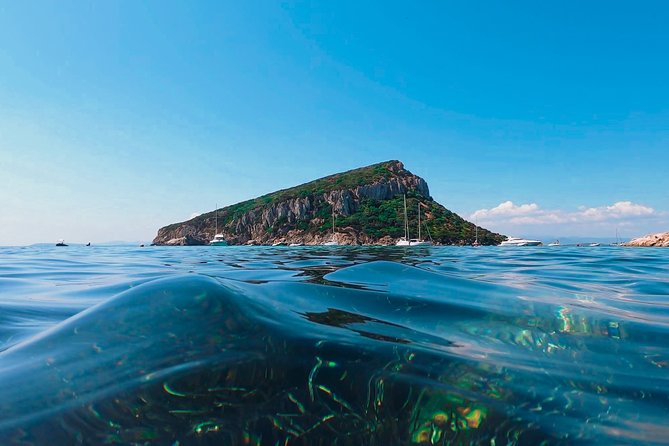 Kayak tour with aperitif and dolphins - Best times to book and what to bring