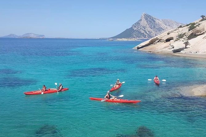 Kayak Tour with Snorkeling and Local Aperitif - Price, group size, and overall value