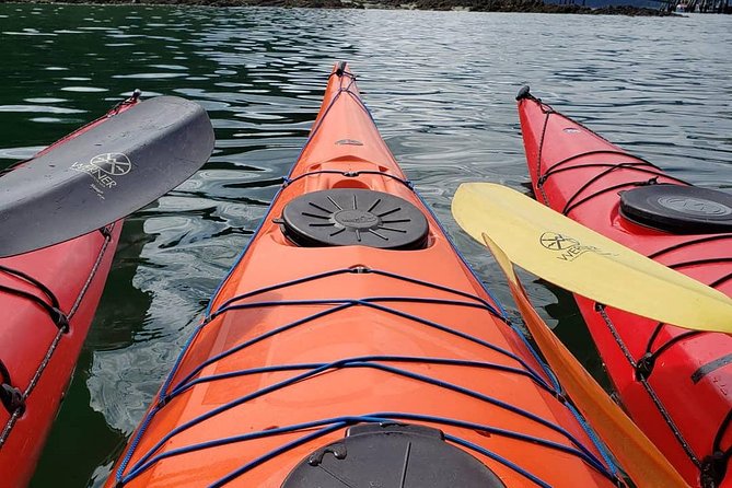 Kayak Tours - Why Hoonah Looks Different From a Kayak