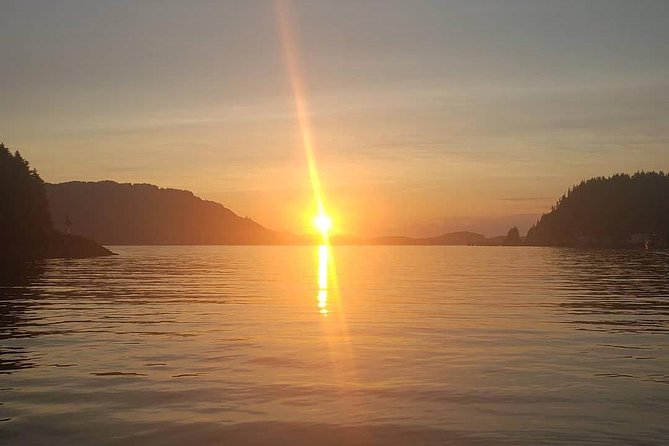 Kayak Tours - Wildlife: Wonderful Possibility, Not a Promise