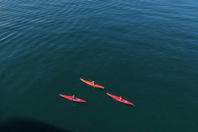 Kayak Tours - Is $180 a Fair Price?