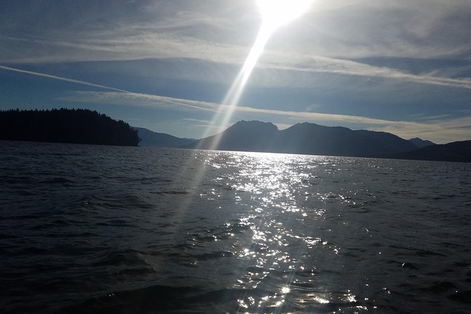 Kayak Tours - Following the Shoreline Toward the Logging Camp