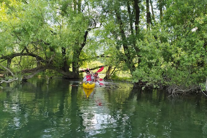 Kayak trip on Adda River North Park - Paddling through reeds and river vegetation