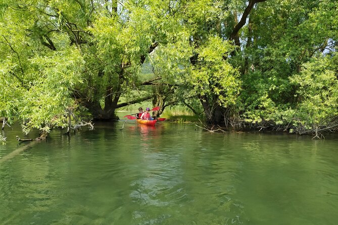Kayak trip on Adda River North Park - Guide commentary from Andrea, Davide, and Marco