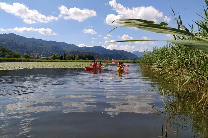 Kayak trip on Adda River North Park - What the $59 price gets you