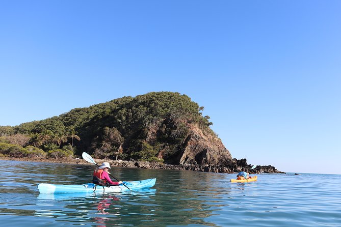 Kayak Turtle Tour from Palm Cove - Key points to know before you book