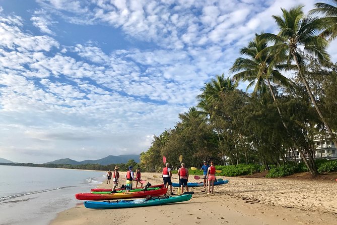 Kayak Turtle Tour from Palm Cove - What the $85.35 price includes