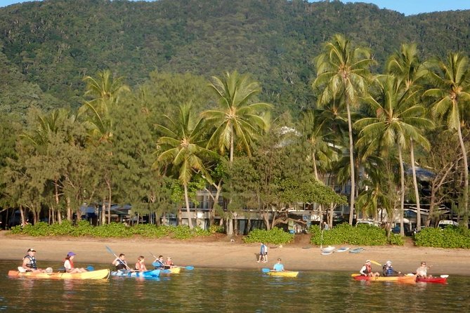 Kayak Turtle Tour from Palm Cove - Practical tips for a smoother morning