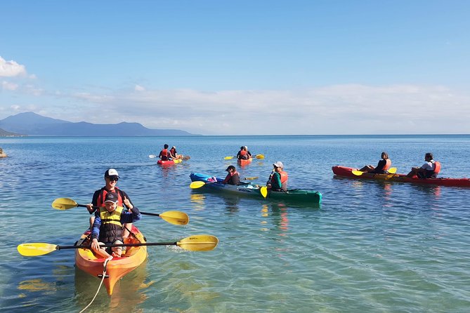 Kayak Turtle Tour from Palm Cove - Choosing between mangroves, reef, and the limestone cave