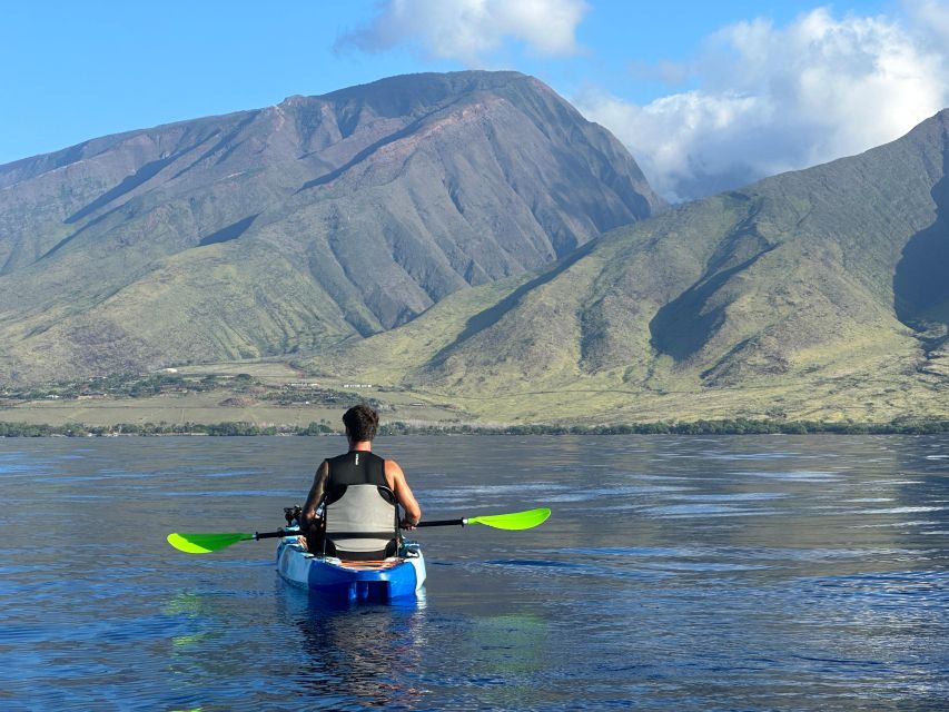 Kayak, Whale Watch And Snorkel At Turtle Town - Should you book this tour?