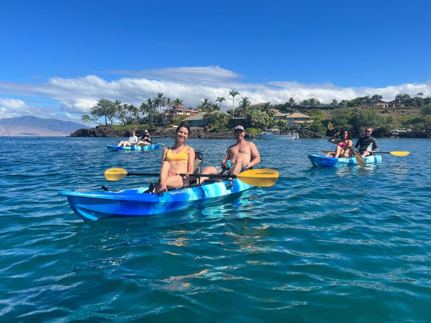 Kayak, Whale Watch And Snorkel At Turtle Town - Snorkeling at Turtle Town