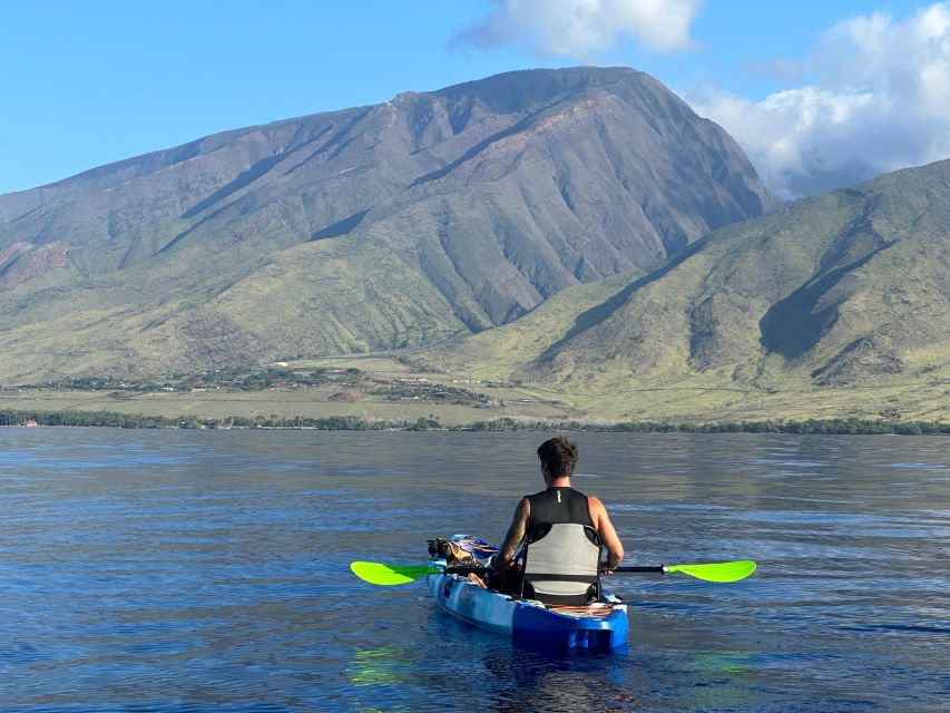 Kayak, Whale Watch And Snorkel At Turtle Town - Why the equipment matters on a three-hour tour